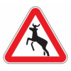 1.27 — Дикие животные