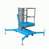 Одномачтовый подъемник PROLIFT GTWY6-100 AC/DC