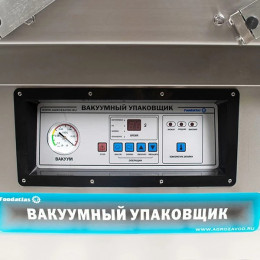 Вакуумный упаковщик DZQ-600/2SD Foodatlas Eco