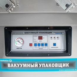 Вакуумный упаковщик DZQ-400/2SC Foodatlas Eco