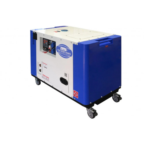 Дизельный сварочный генератор TSS DGW-300ES