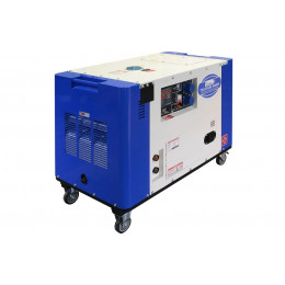 Дизельный сварочный генератор TSS DGW-300ES