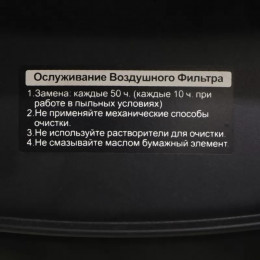 Генератор бензиновый ZONGSHEN PB 12000 E