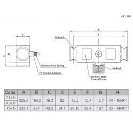 Балочный тензодатчик CAS DSB-II 40
