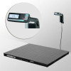 Весы платформенные Масса-К 4D-PM-10/10-1000-RL