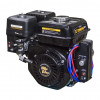 Бензиновый двигатель DINKING DK168FE-1-C (0.8A)