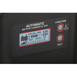 Зарядное устройство TELWIN PULSE 30 EVO 230V 12V/24V