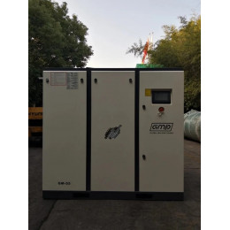 Винтовой компрессор GMP GM-55-12 (IP23)