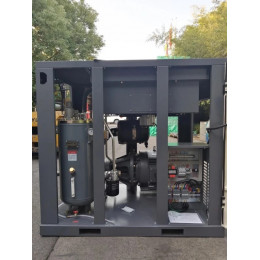 Винтовой компрессор GMP GM-55-12 (IP54)
